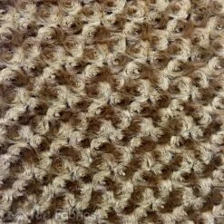 Almond Minky Rose Rosebud Fabric Blanket Fabric