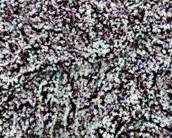 Luxury Stretch Velvet Sequin Fabric All Over Full Sequin 36 Luxury Stretch Velvet Sequin Fabric All Over Full Sequin -Luxtex Store luxury stretch velvet sequin fabric all over full sequin 902223