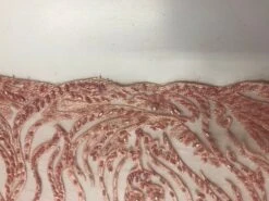 Mauve Embroidered Lace With Beads And Sequins French Bridal Veil Wedding Fabric -Luxtex Store mauve embroidered lace with beads and sequins french bridal veil wedding fabric 880214